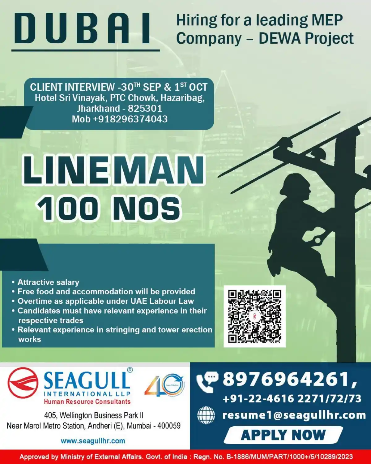 Lineman – Dubai DEWA Project